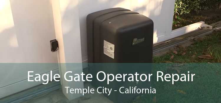 Eagle Gate Operator Repair Temple City - California