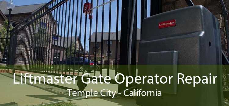 Liftmaster Gate Operator Repair Temple City - California